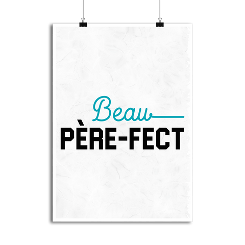 Affiche beau père-fect 2