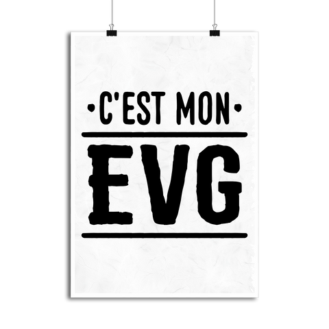 Affiche c'est mon evg 2