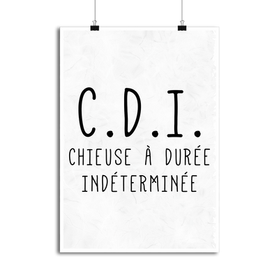 Affiche chieuse indeterminée