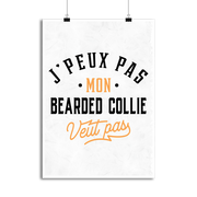 Affiche j peux pas bearded collie