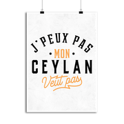 Affiche j peux pas ceylan