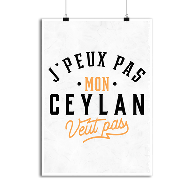 Affiche j peux pas ceylan