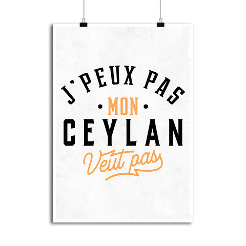 Affiche j peux pas ceylan
