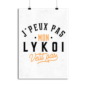 Affiche j peux pas lykoi