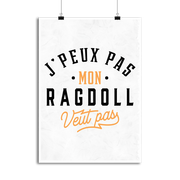 Affiche j peux pas ragdoll