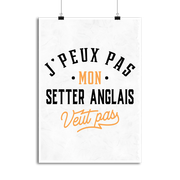 Affiche j peux pas setter anglais