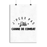 Affiche j'peux pas j'ai canne de combat 2