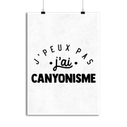 Affiche j'peux pas j'ai canyonisme 2