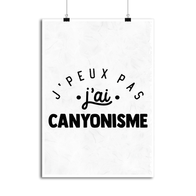 Affiche j'peux pas j'ai canyonisme 2