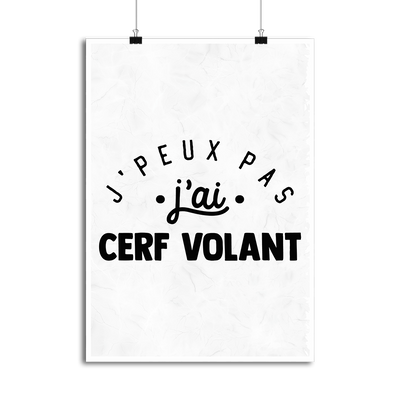Affiche j'peux pas j'ai cerf volant 2