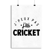 Affiche j'peux pas j'ai cricket 2