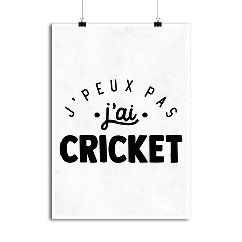 Affiche j'peux pas j'ai cricket 2