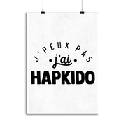 Affiche j'peux pas j'ai hapkido 2