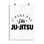 Affiche j'peux pas j'ai ju-jitsu 2