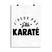Affiche j'peux pas j'ai karaté 2