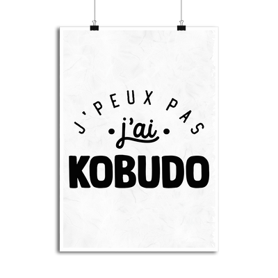 Affiche j'peux pas j'ai kobudo 2