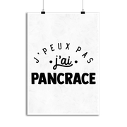 Affiche j'peux pas j'ai pancrace 2