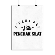 Affiche j'peux pas j'ai penchak silat 2