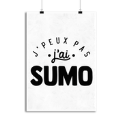 Affiche j'peux pas j'ai sumo 2