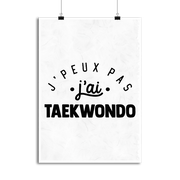 Affiche j'peux pas j'ai taekwondo 2