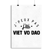 Affiche j'peux pas j'ai viet vo dao 2