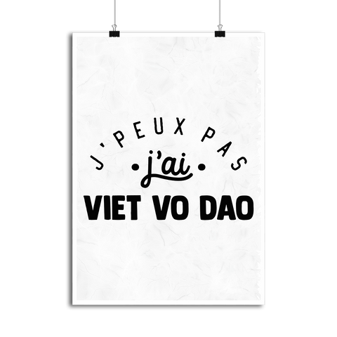 Affiche j'peux pas j'ai viet vo dao 2