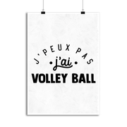Affiche j'peux pas j'ai volley ball 2