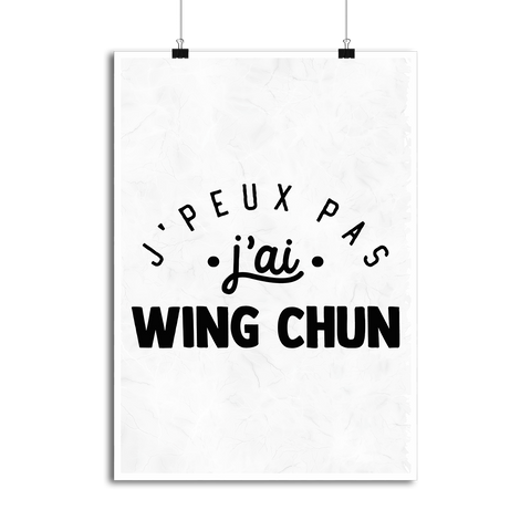 Affiche j'peux pas j'ai wing chun 2