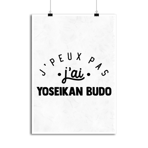 Affiche j'peux pas j'ai yoseikan budo 2