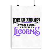 Affiche je rentre en licorne