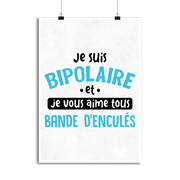 Affiche je suis bipolaire