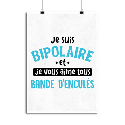 Affiche je suis bipolaire