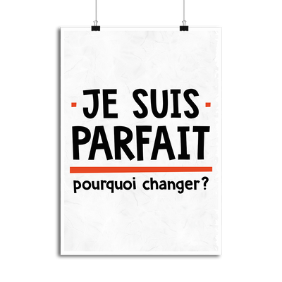 Affiche je suis parfait