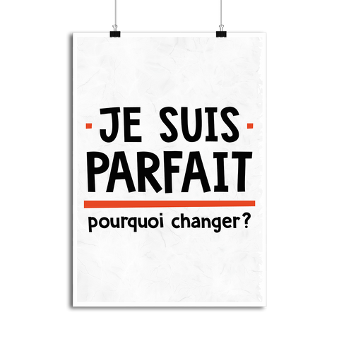 Affiche je suis parfait