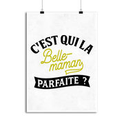Affiche la belle-maman parfaite