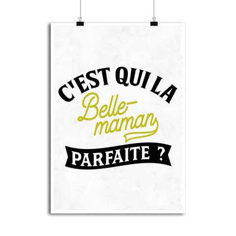 Affiche la belle-maman parfaite