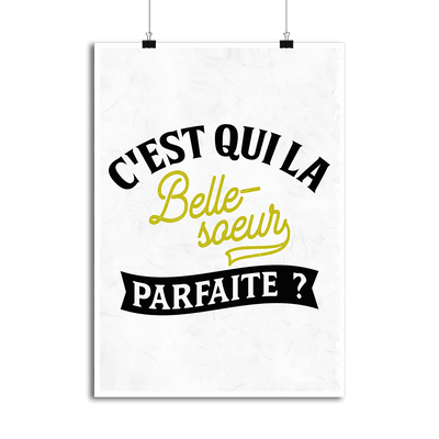 Affiche la belle-soeur parfaite