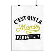 Affiche la mamie parfaite