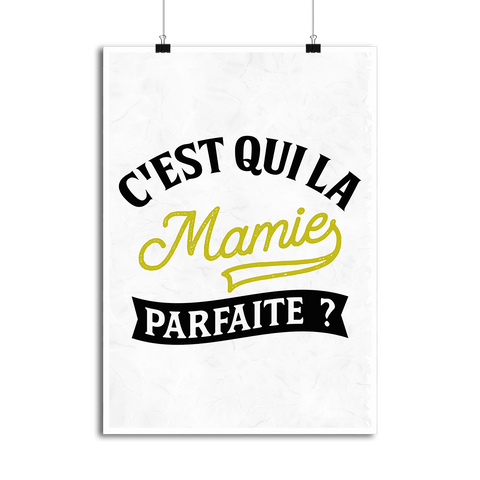 Affiche la mamie parfaite