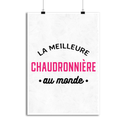 Affiche la meilleure chaudronnière au monde