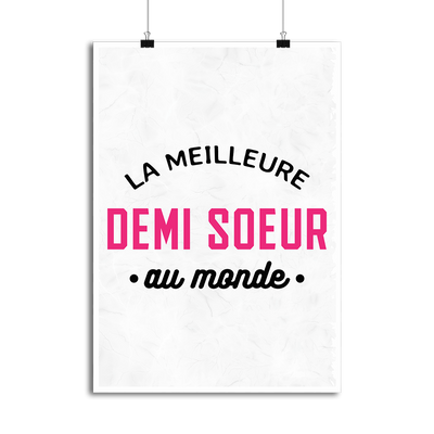 Affiche la meilleure demi soeur au monde