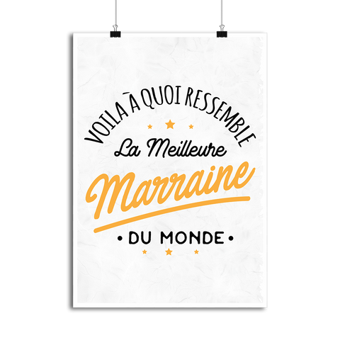 Affiche la meilleure marraine du monde