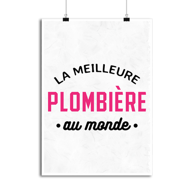 Affiche la meilleure plombière au monde