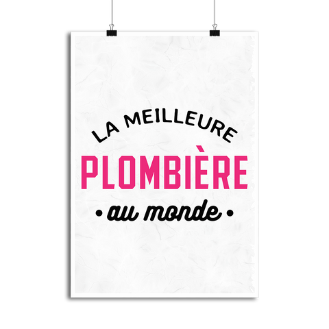 Affiche la meilleure plombière au monde