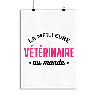 Affiche la meilleure vétérinaire au monde