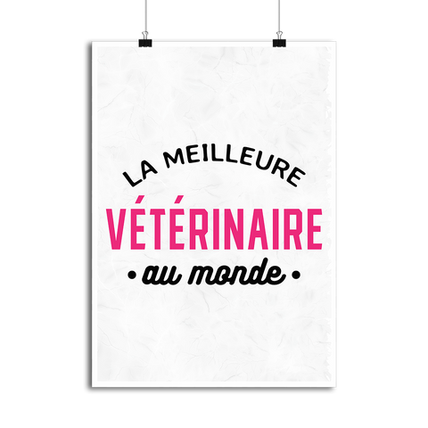 Affiche la meilleure vétérinaire au monde