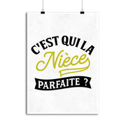 Affiche la nièce parfaite