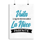 Affiche la nièce parfaite 2