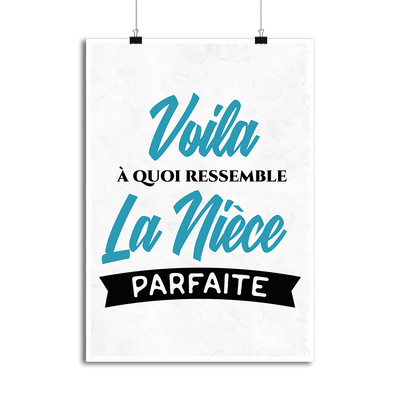 Affiche la nièce parfaite 2