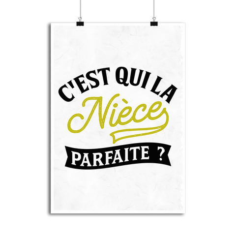 Affiche la nièce parfaite